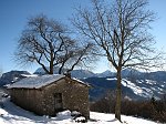 Sentiero 136 - Foppelle-Passo di Grialeggio (8 dic 08) - FOTOGALLERY